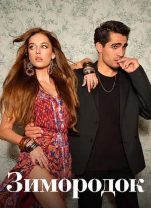 Зимородок (2022) 1 сезон смотреть онлайн в супер качестве 4K без рекламы