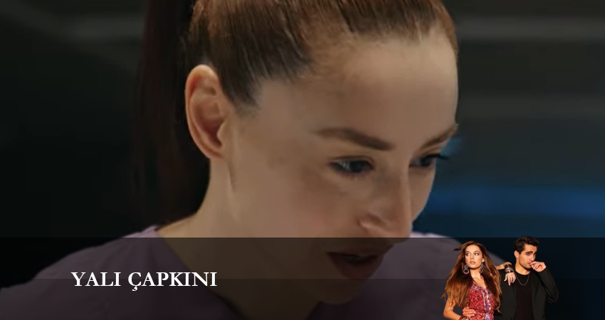 Зимородок 1 сезон 115 серия смотреть бесплатно в хорошем качестве