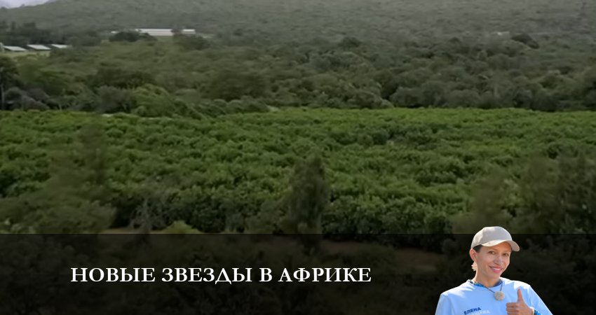 Новые звезды в Африке (2023) 5 сезон 7 серия смотреть бесплатно полностью