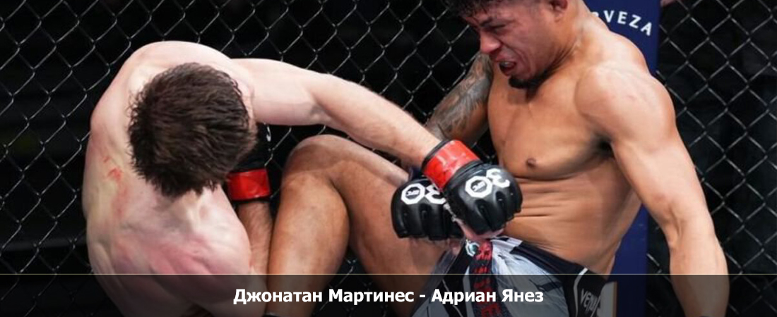 Джонатан Мартинес - Адриан Янез (14.10.2023) бесплатно