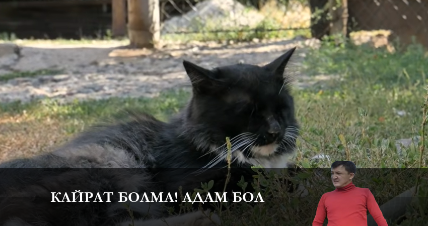 Кайрат болма адам бол 1 сезон 6 серия смотреть в хорошем качестве