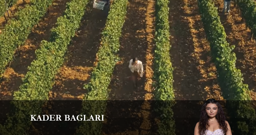 Узы судьбы (1 сезон, 2023) смотреть бесплатно онлайн без рекламы