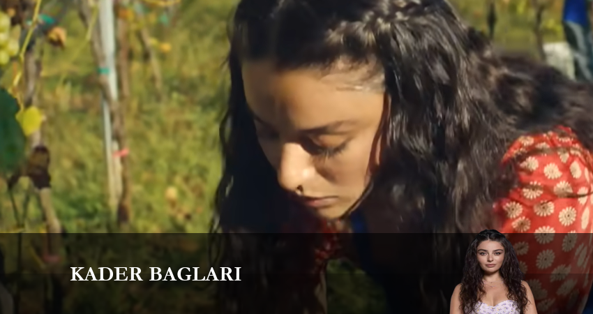 Сериал Узы судьбы (2023) 1 сезон 16 серия смотреть онлайн в качество 1080 HD или 4K