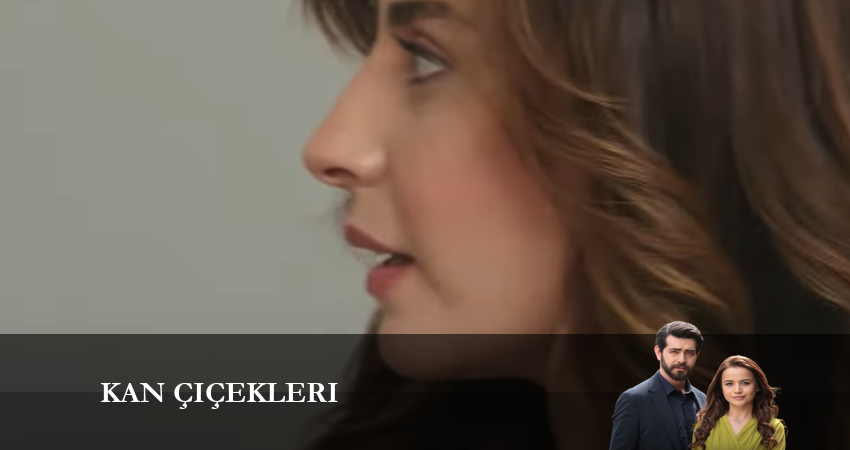 Кровавые цветы (2024) 1 сезон 162 серия смотреть в 4K качестве онлайн