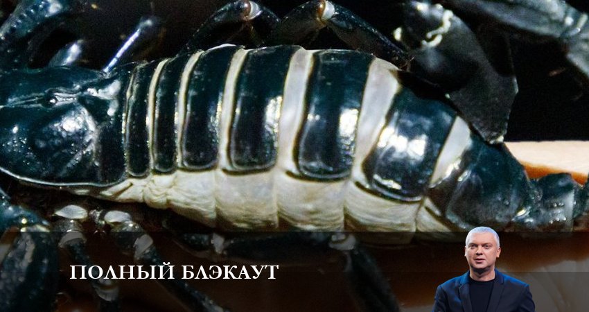 Сериал Полный блэкаут (2023) 3 сезон 3 серия в 4K UHD и HD смотреть онлайн бесплатно