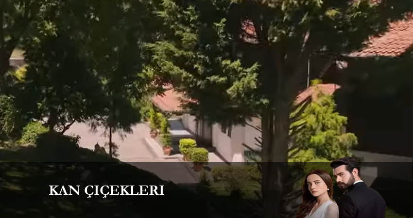 Смотреть сериал Кровавые цветы 1 сезон 190 серия бесплатно и без рекламы