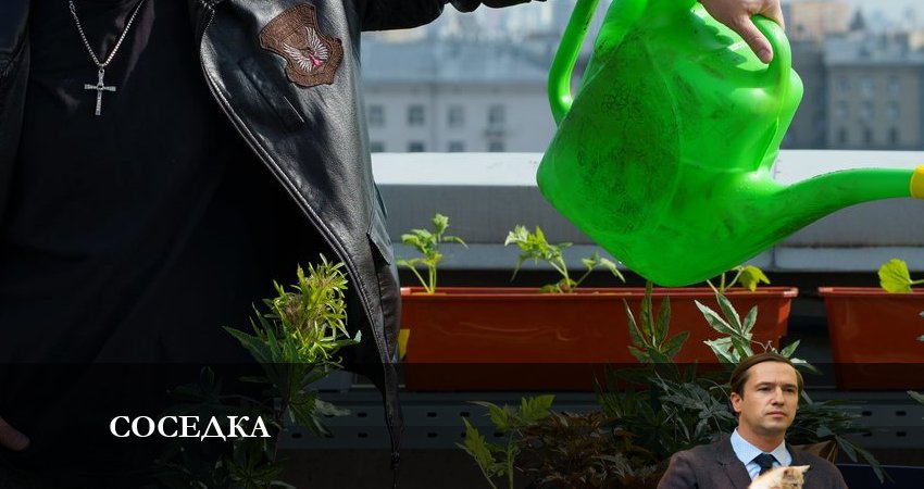 Соседка (1 сезон, 2021) смотреть онлайн бесплатно