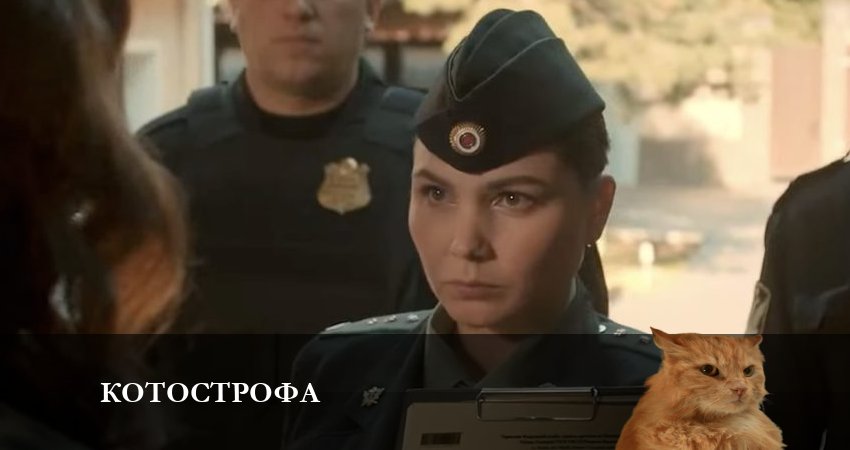 Котострофа 1 сезон 1 серия смотреть онлайн в качестве 4K