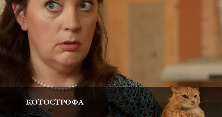 Смотреть фильм Котострофа (1 сезон) все серии