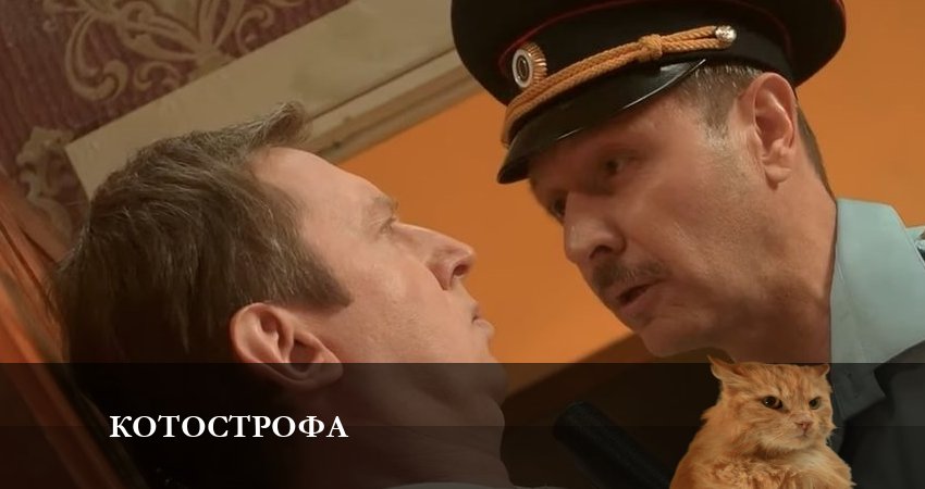 Котострофа (1 сезон, 2023) смотреть онлайн без рекламы