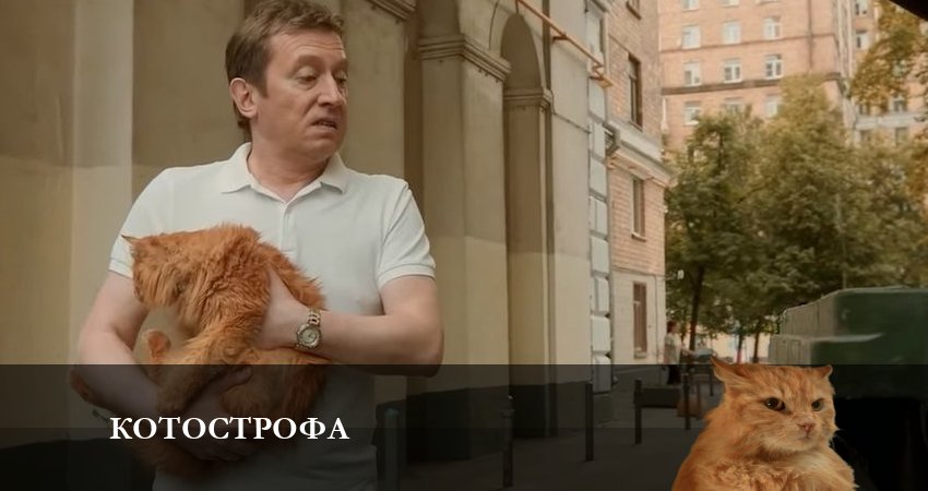Котострофа (2023) 1 сезон 7 серия смотреть онлайн бесплатно
