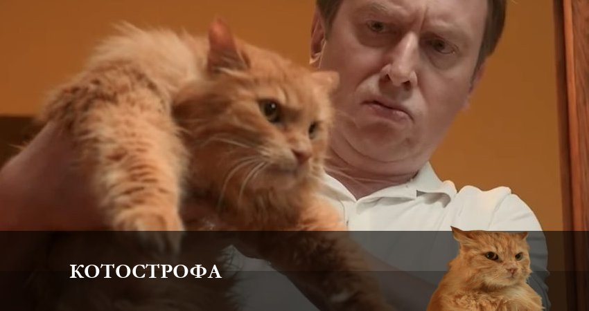Cмотреть сериал Котострофа 1 сезон 9 серия онлайн бесплатно