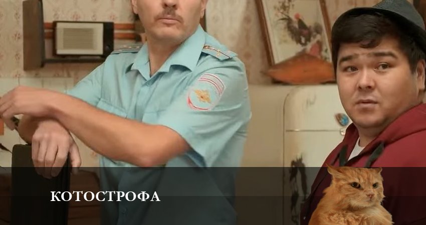Сериал Котострофа (2023) 1 сезон 11 серия смотреть бесплатно в хорошем качестве