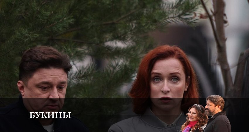 Букины (1 сезон) сериал все серии подряд