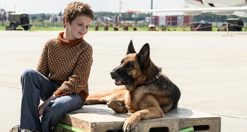 Фильм Пальма-2 смотреть онлайн бесплатно в хорошем HD 1080 качестве