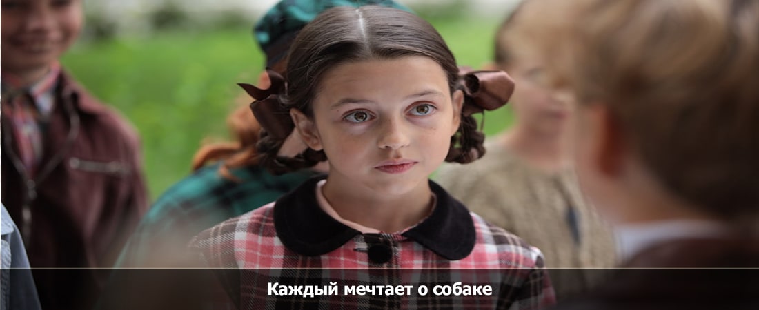 Фильм Каждый мечтает о собаке (0 сезон) все серии | 2024