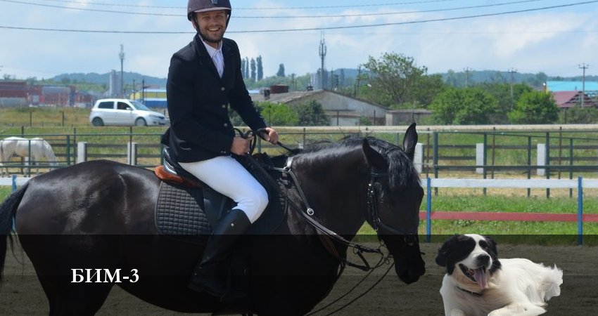 Бим 2022 (2024) 3 сезон 10 серия онлайн бесплатно в высоком качестве