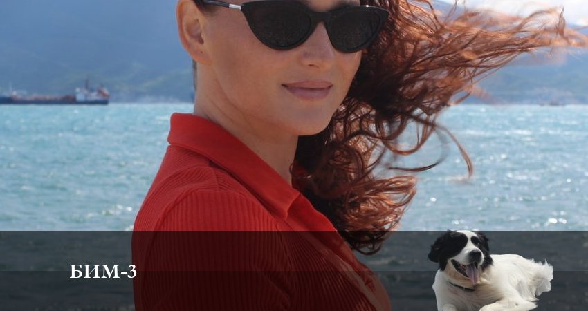 Сериал Бим 2022 3 сезон 29 серия онлайн в качестве 1080p