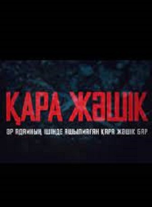 Қара жәшік 1 сезон все серии подряд в отличном качестве 1080p бесплатно