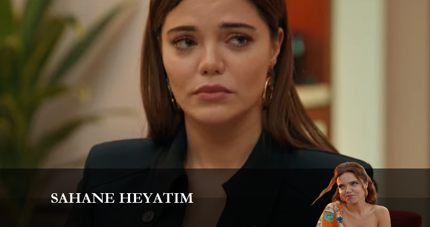 Смотреть сераил Моя прекрасная жизнь (2024) 1 сезон 17 серия HD 1080, 4K