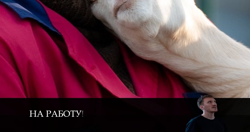 Смотреть сераил На работу! (2024) 1 сезон 1 серия HD 1080, 4K