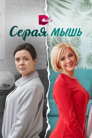 Серая Мышь 1 сезон (2024) смотреть онлайн