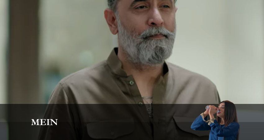 Mein 1 сезон 25 серия смотреть онлайн 720p или 1080p