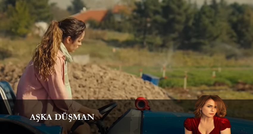 Сериал Враг любви 1 сезон 8 серия онлайн в качестве 1080p