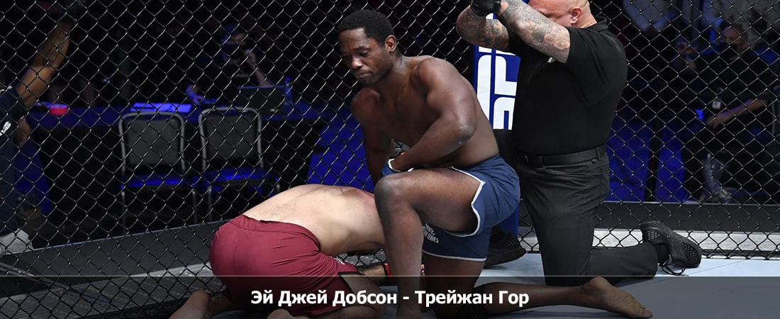 Эй Джей Добсон - Трейжан Гор (17.02.2024) 2 смотреть онлайн лордфильм