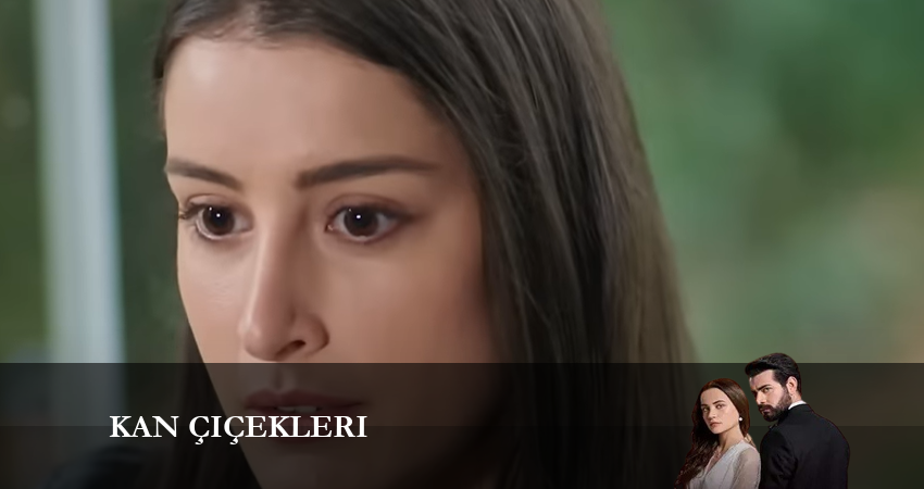 Кровавые цветы (2024) 1 сезон 249 серия полностью в хорошем качестве и бесплатно