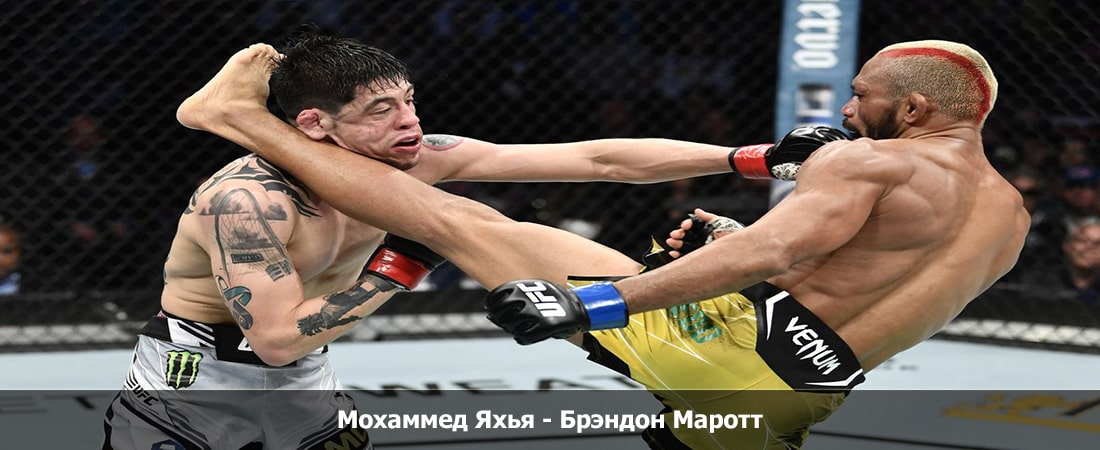 Фильм бесплатно без регистрации Мохаммед Яхья - Брэндон Маротт (02.03.2024)