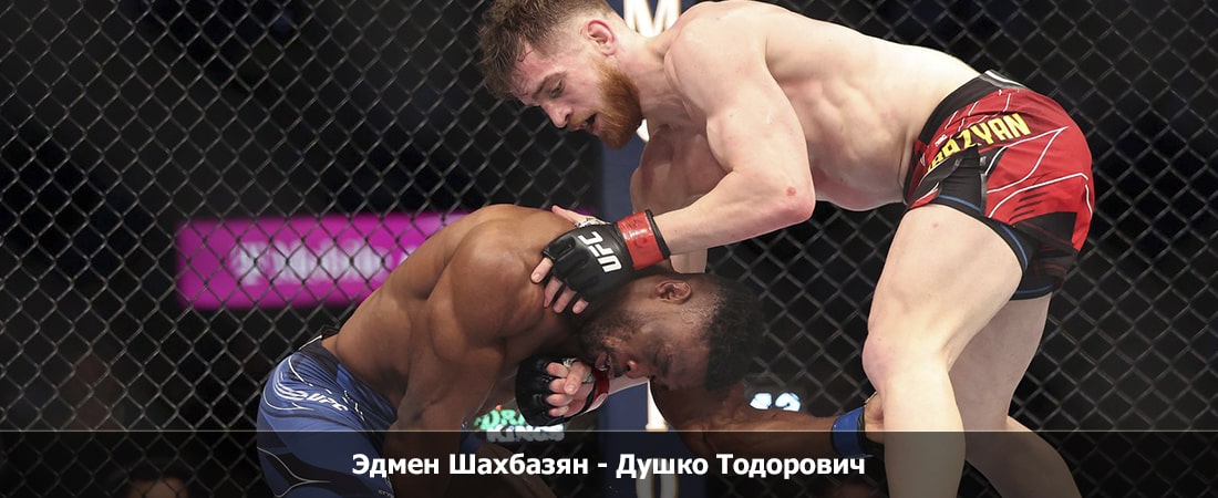 Эдмен Шахбазян - Душко Тодорович (23.03.2024) 2 фильм года
