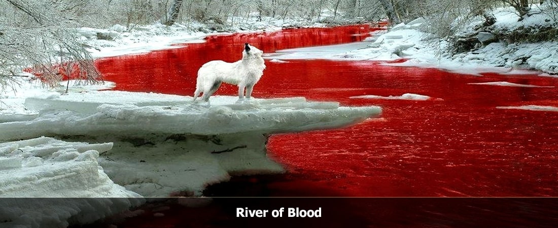 River of Blood смотреть в HD | 2024