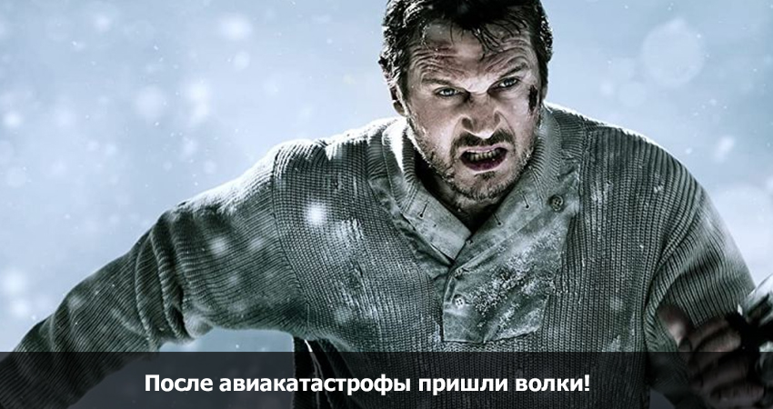 После авиакатастрофы пришли волки! (Великобритания) 2024 смотреть онлайн без рекламы и регистрации