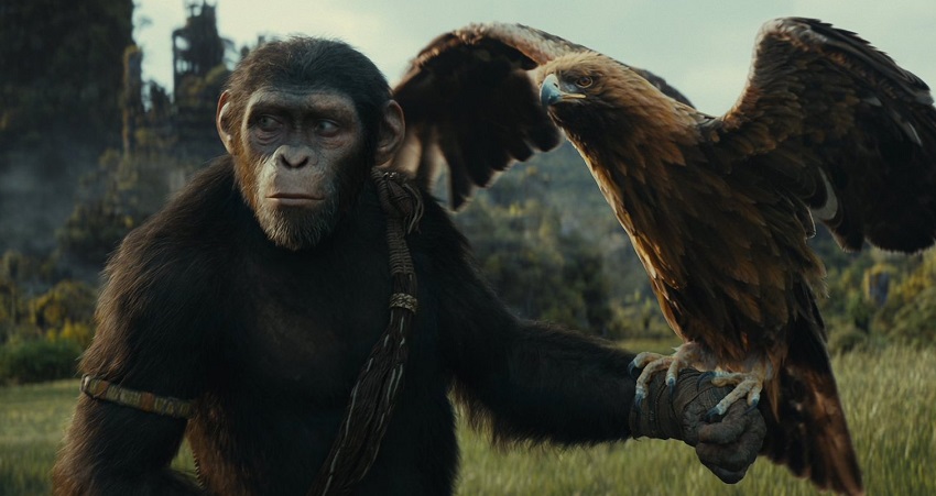 Смотреть Фильм Планета обезьян: Новое царство (2024) без рекламы в HD