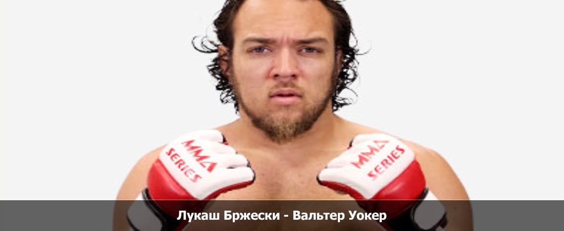 Лукаш Бржески - Вальтер Уокер (06.04.2024) 2 в хорошем качестве