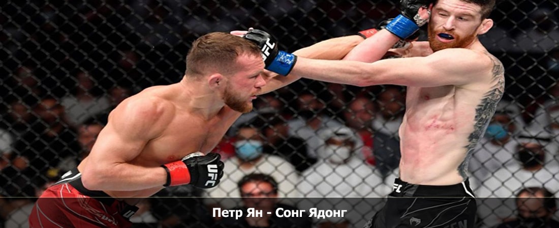 Петр Ян - Сонг Ядонг (09.03.2024) 2 смотреть бесплатно полностью