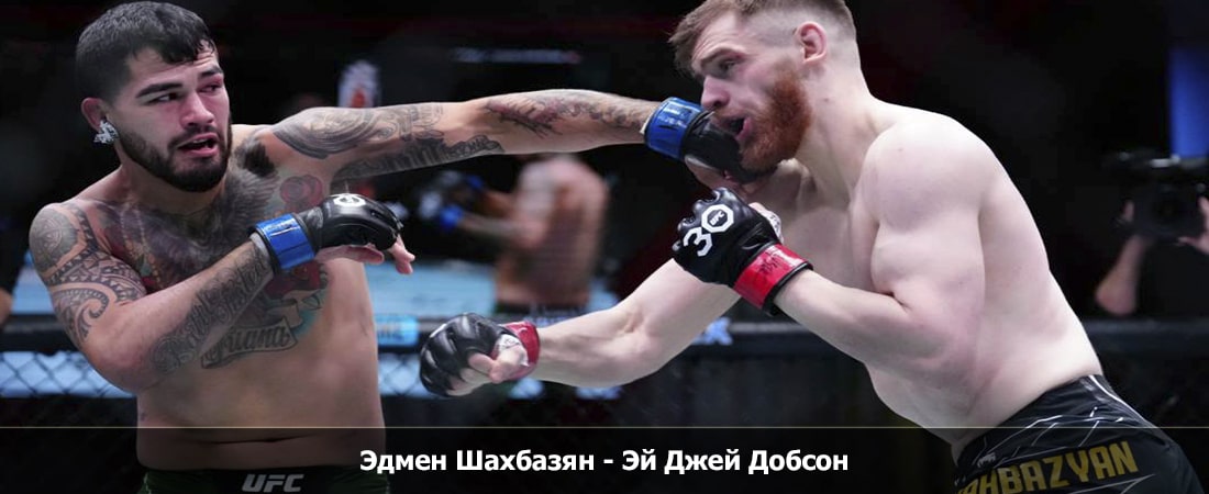 Эдмен Шахбазян - Эй Джей Добсон (23.03.2024) смотреть без рекламы