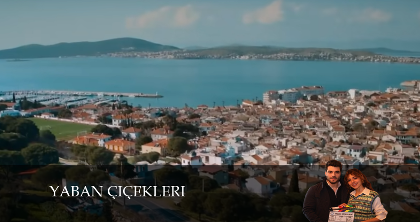 Дикие цветы 1 сезон 1 серия полная версия смотреть бесплатно