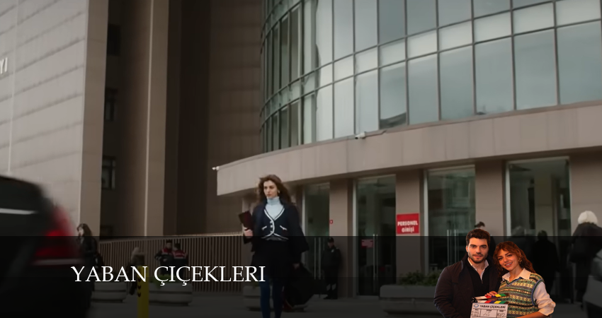 Дикие цветы 1 сезон 11 серия все серии подряд онлайн бесплатно