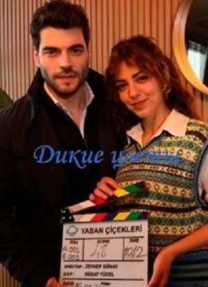 Сериал Дикие цветы 1 сезон смотреть онлайн бесплатно в хорошем качестве HD