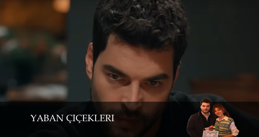 Сериал Дикие цветы 1 сезон 18 серия смотреть онлайн бесплатно в хорошем качестве