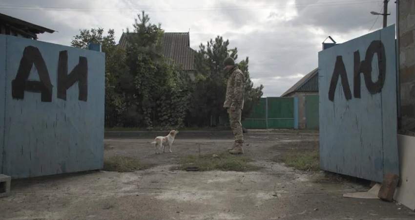 Смотреть Ми Нашi улюбленцi та вiйна (2024) онлайн бесплатно и без смс
