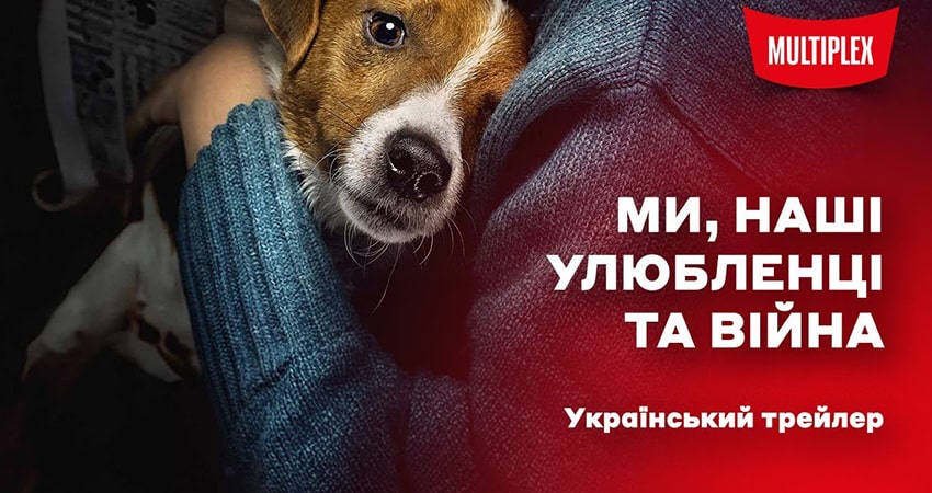 Смотреть Фильм 53Ми Нашi улюбленцi та вiйна (-) в отличном качестве