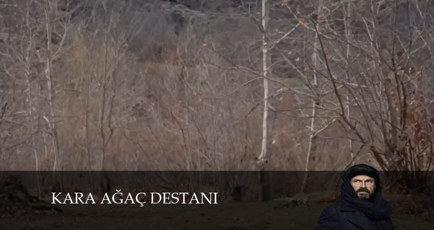 Легенда о черном дереве (1 сезон, 8 серия) смотреть онлайн бесплатно