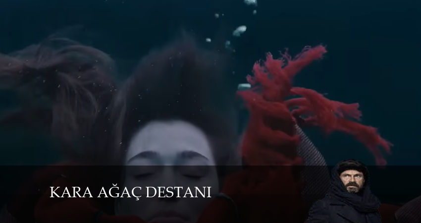 Легенда о черном дереве (2024) 1 сезон 9 серия смотреть в HD 1080 без регистрации