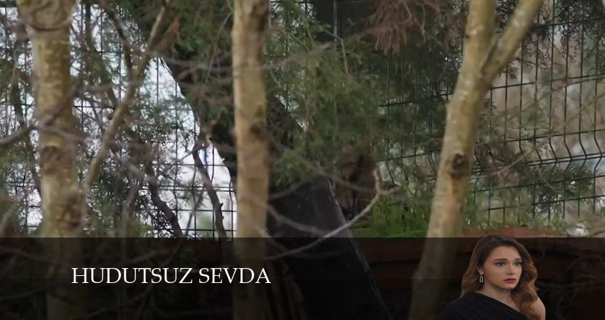 Безграничная любовь (2024) 1 сезон 32 серия смотреть онлайн без рекламы