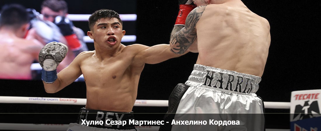 Смотреть Хулио Сезар Мартинес - Анхелино Кордова (30.03.2024) бесплатно в хорошем качестве