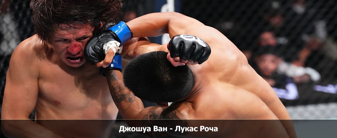 Фильм бесплатно без регистрации Джошуа Ван - Лукас Роча (06.04.2024) 2