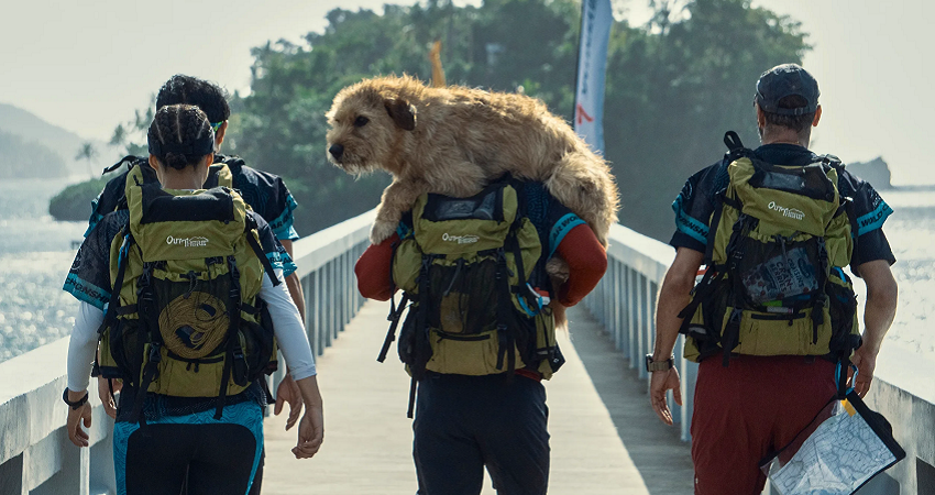 Артур, ты король (-) смотреть онлайн без рекламы